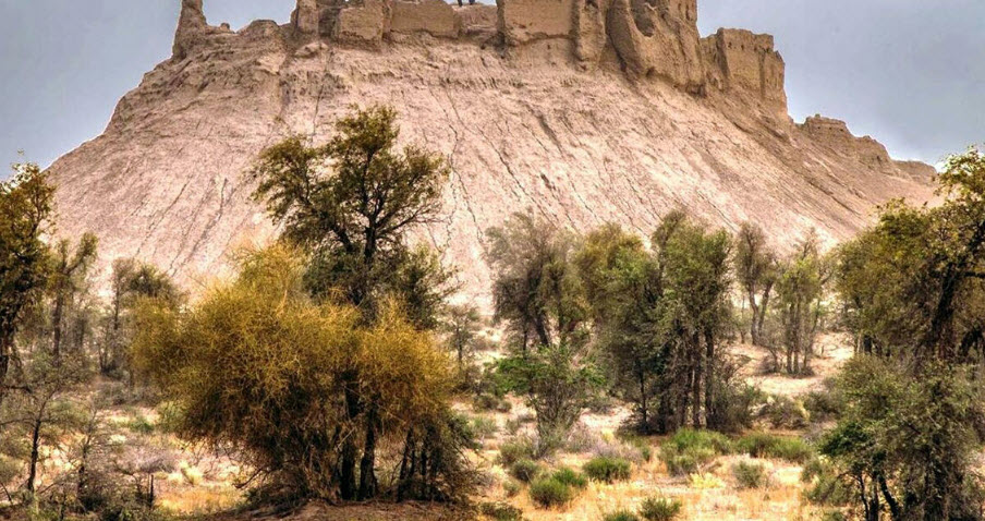 Chah Afzal Castle, Chah Afzal, Yazd, Iran, Iran